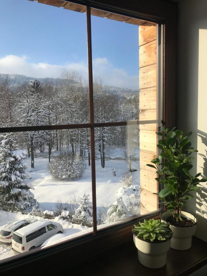 U Potoka Apartment Destne v Orlickych horach
